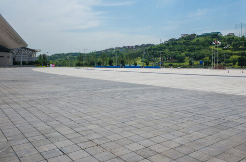 Cement Paver Block